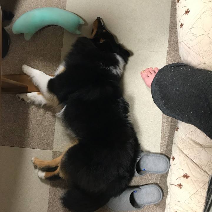 88a737cb 3cc6 41e0 b3ff b4564f1d7a49 1528321935656