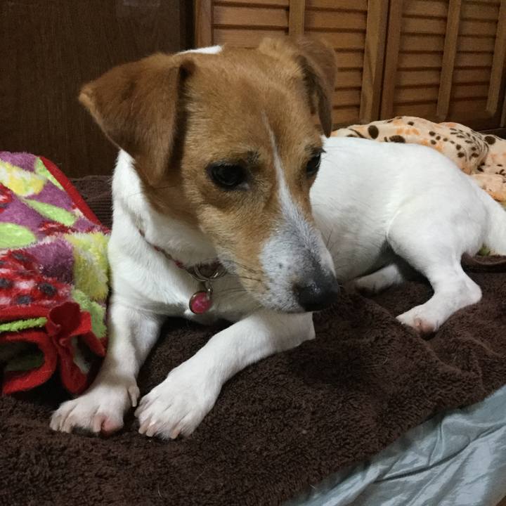 88a74394 ebbf 4e86 bc2e 2dd4253bcc14 1528615974316