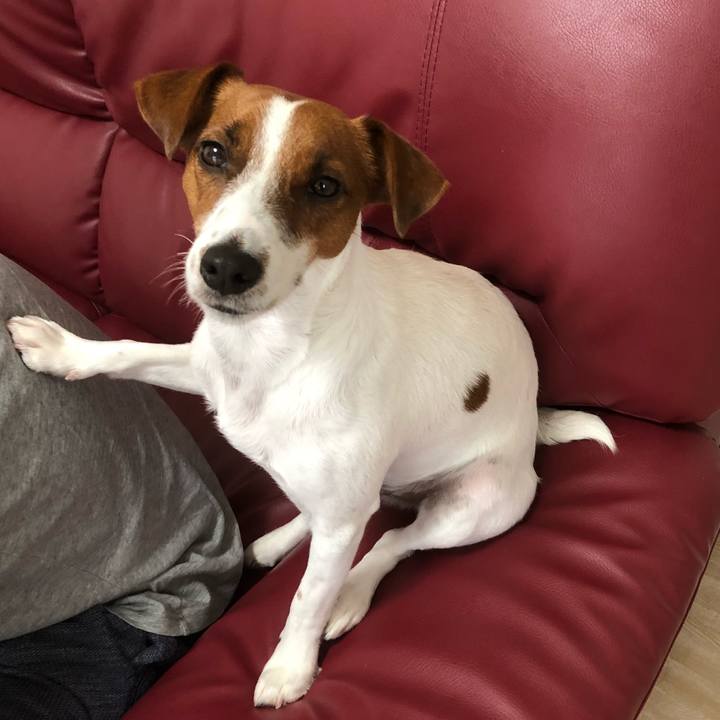 88a751df b9a0 4765 95ec debfcd8a5fa9 1577452801467