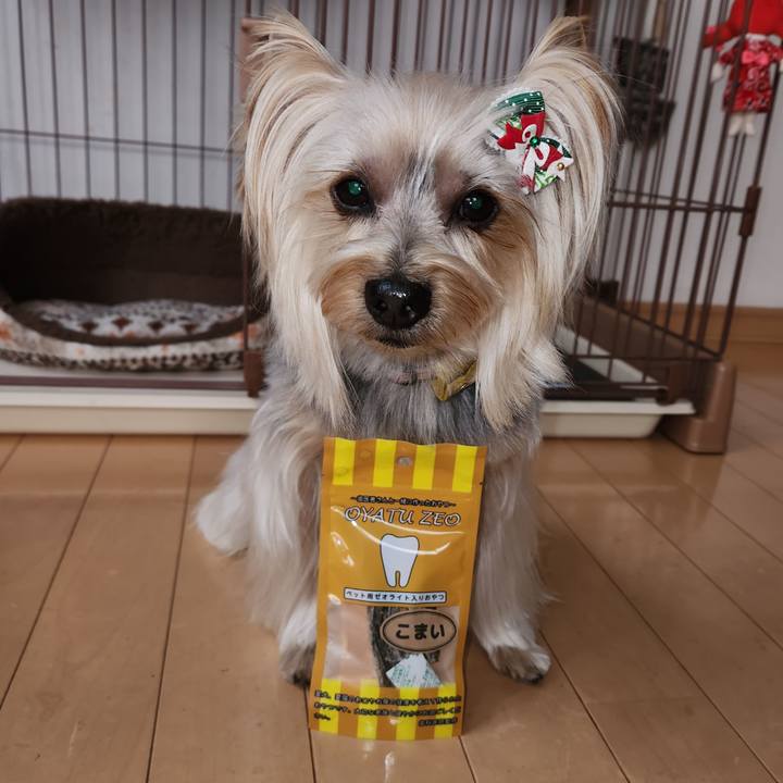 88a768f7 6d38 4466 a33c ec9af17445d1 1733969205105