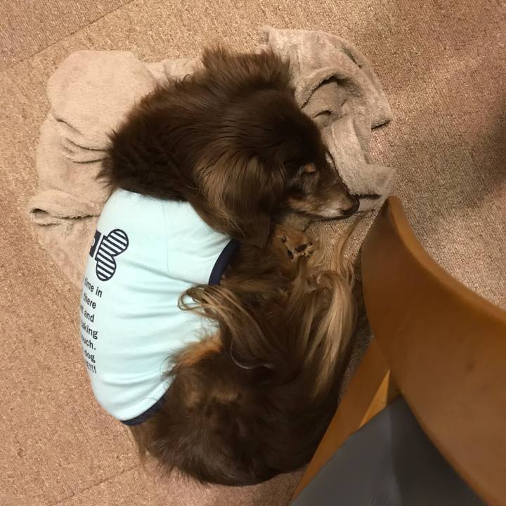 88a773f9 5179 47ad 8670 9111fa7b24f5 1555501235239