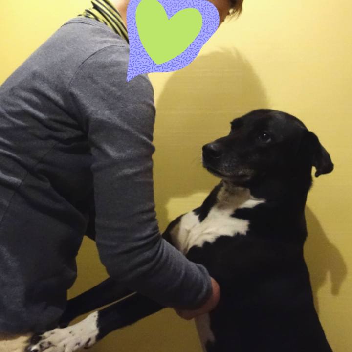 88a77635 b33a 4dfd 8074 c9c0682154fb 1678704315407