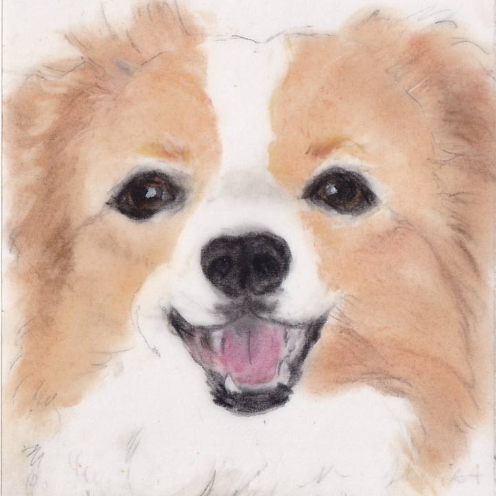 88a78e80 253b 49ee 8dc1 66a65a707a31 1718964400669