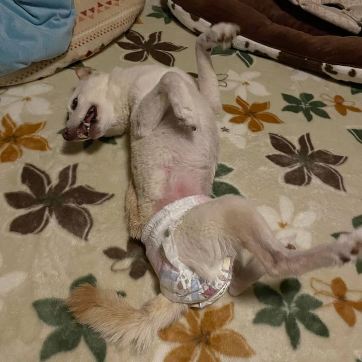 88a7b3f6 23a0 4980 8510 3bc2cb7786fa 1669142385607