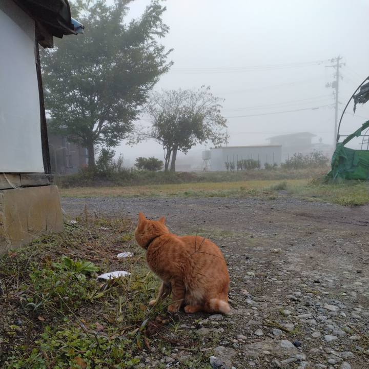 88a7c947 701a 4923 bc00 d6a67961aac1 1697146735946