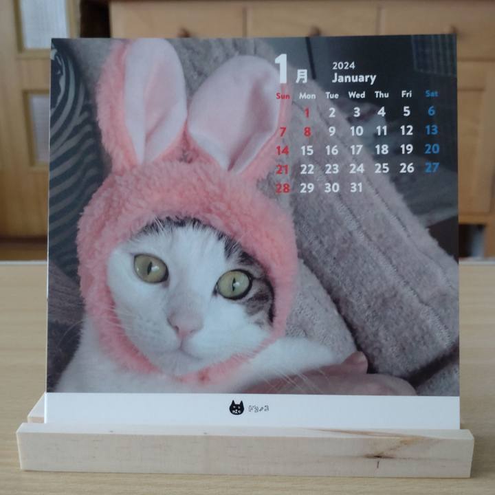 88a7d3c9 0fb7 4f28 8d22 c46f1278661a 1704082998623