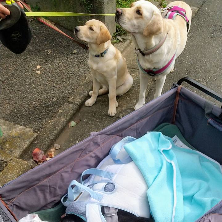 88a7d853 2181 48b4 9ac1 f826086100e4 1730779014541