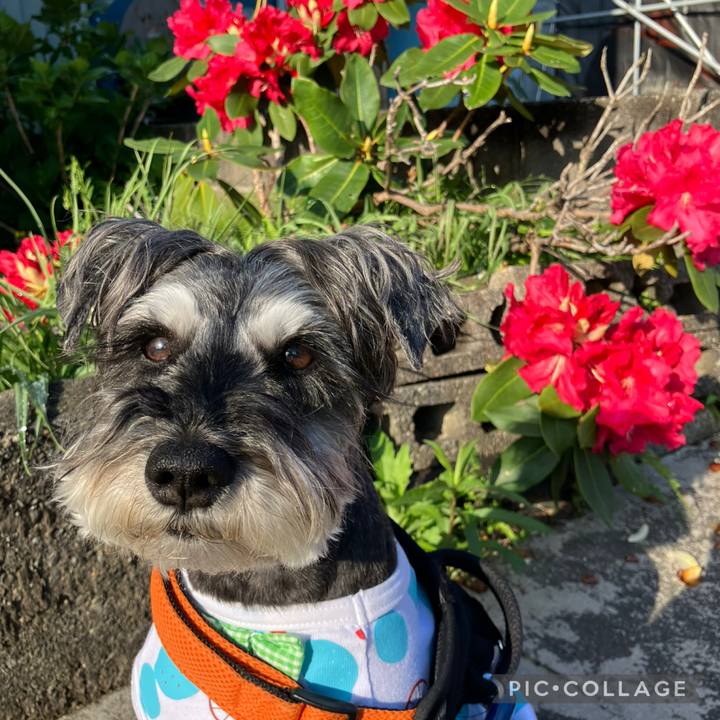 88a80e61 1a47 49c8 9941 4978a70e422f 1746245898405