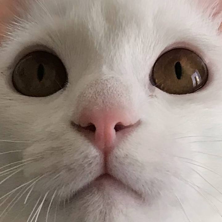 88a84e8d 1f1b 4c1a a39d 544c2307ef56 1574509747445