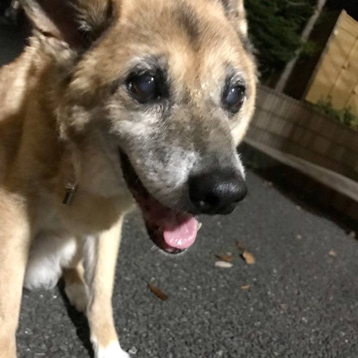 88a85c82 1689 45da a7b3 60c740034e26 1533554623079