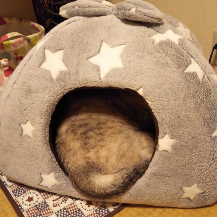 88a85f5e 3421 41c5 8178 f65974a8de5d 1540048771857