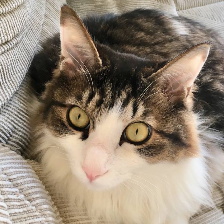 88a87050 1a7e 4761 b7a4 69826cf8fd86 1522733656735