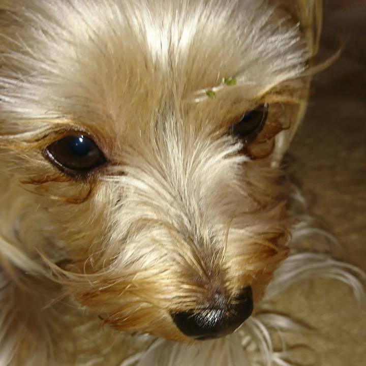 88a874c1 80f0 428d b9e8 ebe25b5ba3af 1540681810952