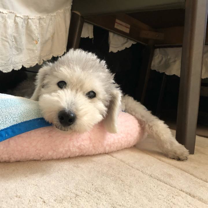 88a8a865 4de8 49b7 a783 5d53a504c866 1661303171573