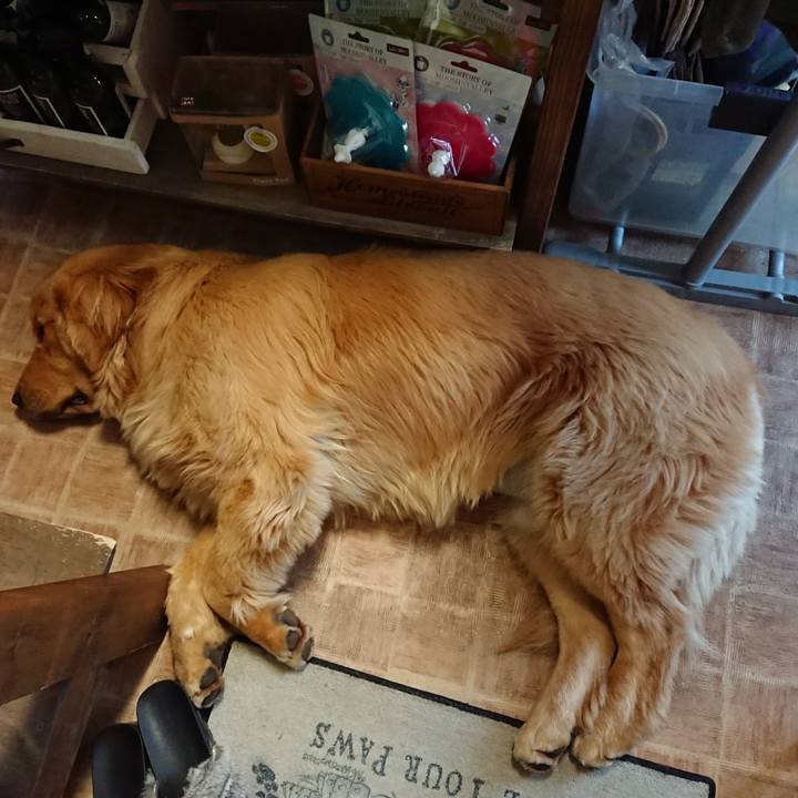 88a934f6 b901 407f a177 8d12aa08709c 1511176571935