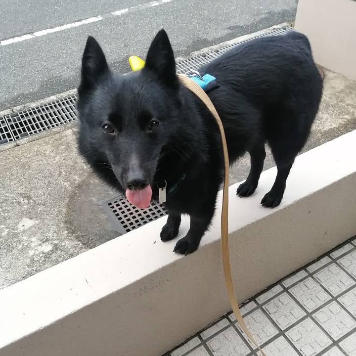 88a9862e f11f 4e10 b13f a3478a76d078 1658265553053