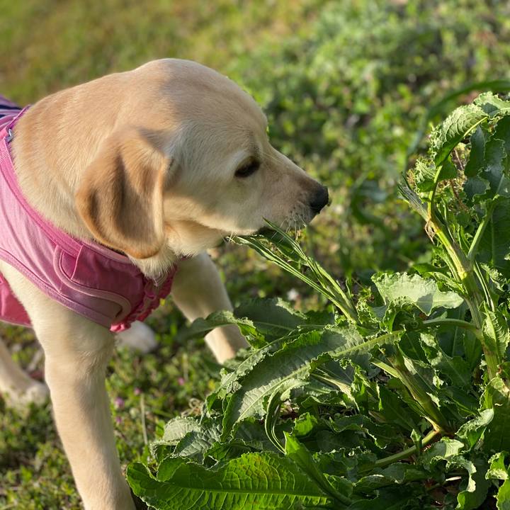 88a986fa b24c 460e a112 45718e35afc1 1615982631637