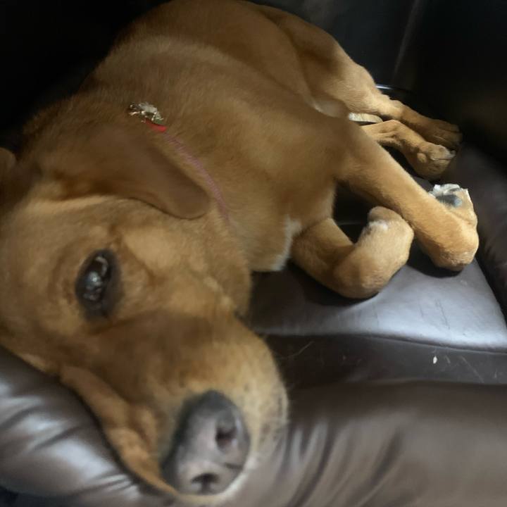 88a98ac6 7e4b 47b8 a9b9 d9e267d9a4de 1620561277764