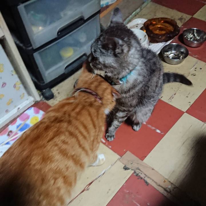 88a99bcf f69f 45d2 88f4 601c71d8217b 1567800540461