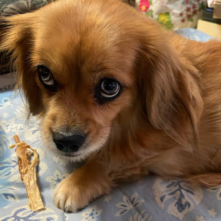 88a99be2 f671 4394 ba5b eea0f01db258 1607552291249