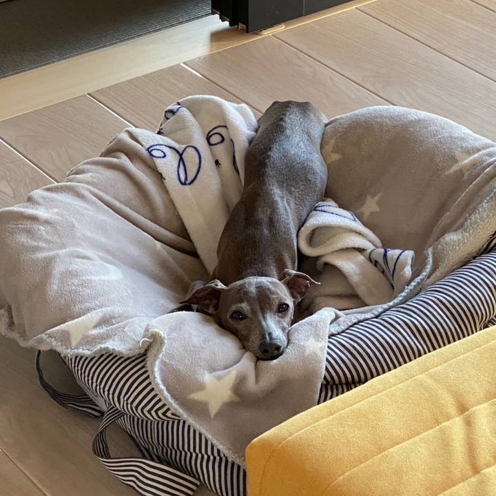 88a9a4c9 855a 4d8d 8a3d ce83d0236125 1764642054769