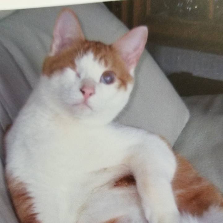 88a9dd13 2725 46cf a377 683ca883ba43 1540645413567