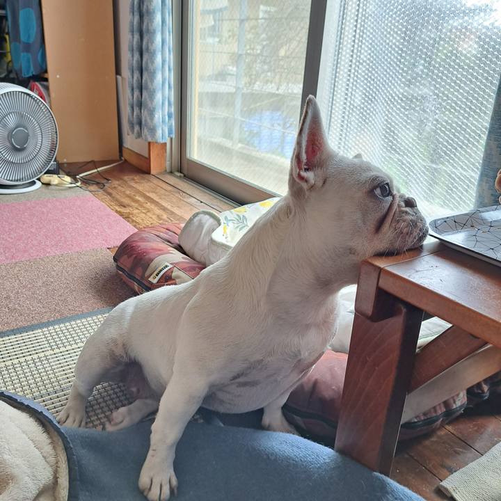 88a9df4f b6eb 42f6 94fd 9dfe59a2ccfa 1694301354226