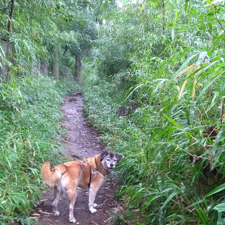 88aa1598 ae84 41d9 a8f0 577634ad30e0 1563841172677