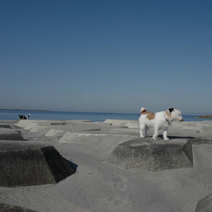 88aa3948 bf3c 4e26 b0c0 b7a8d9cfd2ea 1522471515464