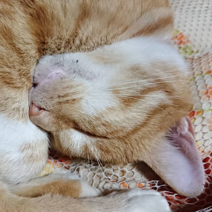 88aa45cf da99 4623 a49a d10be0ec89c2 1574168270083