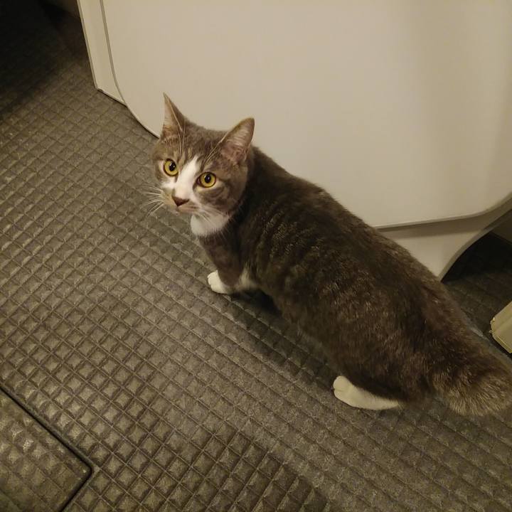 88aa5278 6a9a 4a84 8405 cb6e802b6713 1578657992250