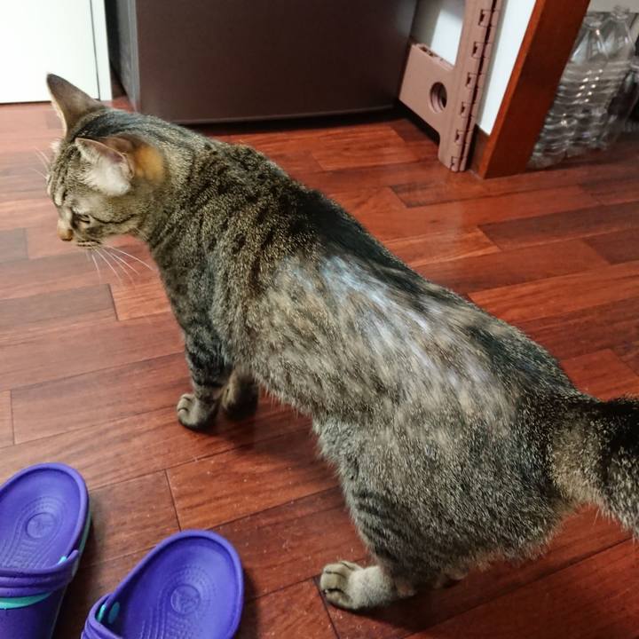 88aa698f 5f62 4fc4 adca 9c2b655873ce 1562755047647