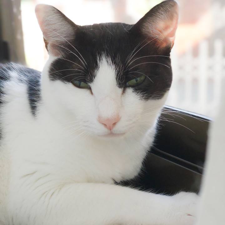 88aa98ae 63a4 4d1b b2a8 5662dd351db9 1568426488817