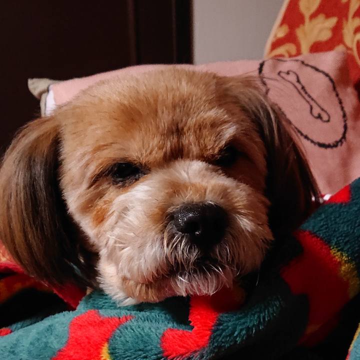 88aac1b9 13e0 4bd8 80e2 9b676aeac131 1579121328409