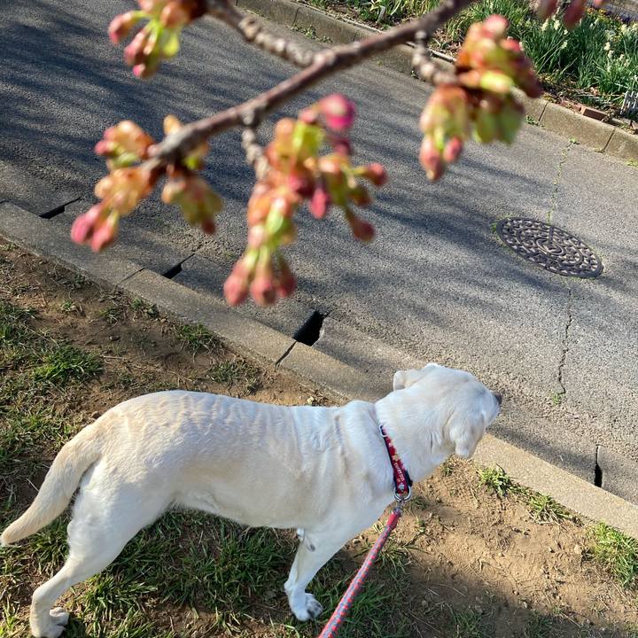 88aaf8b2 28d0 4f7a 8861 e6829bcf53a8 1740837681128