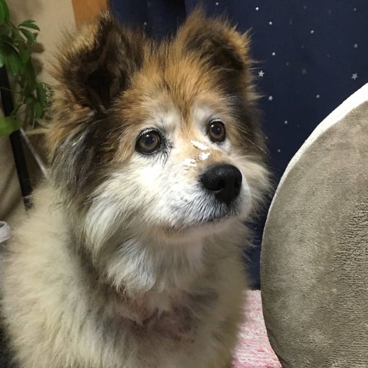 88aaf9d7 34cb 4c12 a3d2 4598dd3a387b 1571110850308