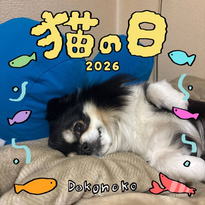 88ab9439 b81c 4b81 a47e c0fc1f2d1e52 1771726107768