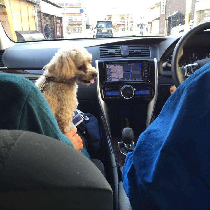 88ab9e13 84d5 4b9c be41 e139a1dac754 1577432644752