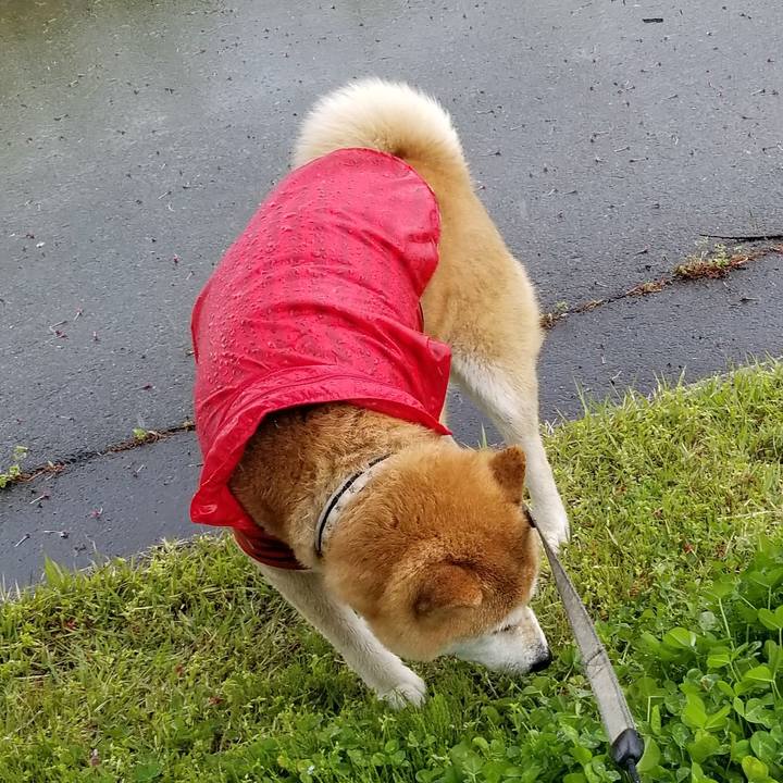 88abaacb 832a 47e0 b05c d2902cf591cd 1619938822939