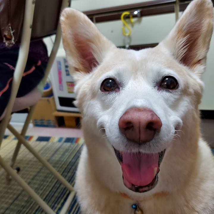 88abd6f1 d4f0 40ca 947a 1494d14ecede 1631319338704