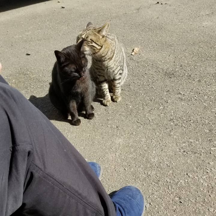 88abeaf6 4f40 43b0 ba43 7d803aab72ae 1585445376709