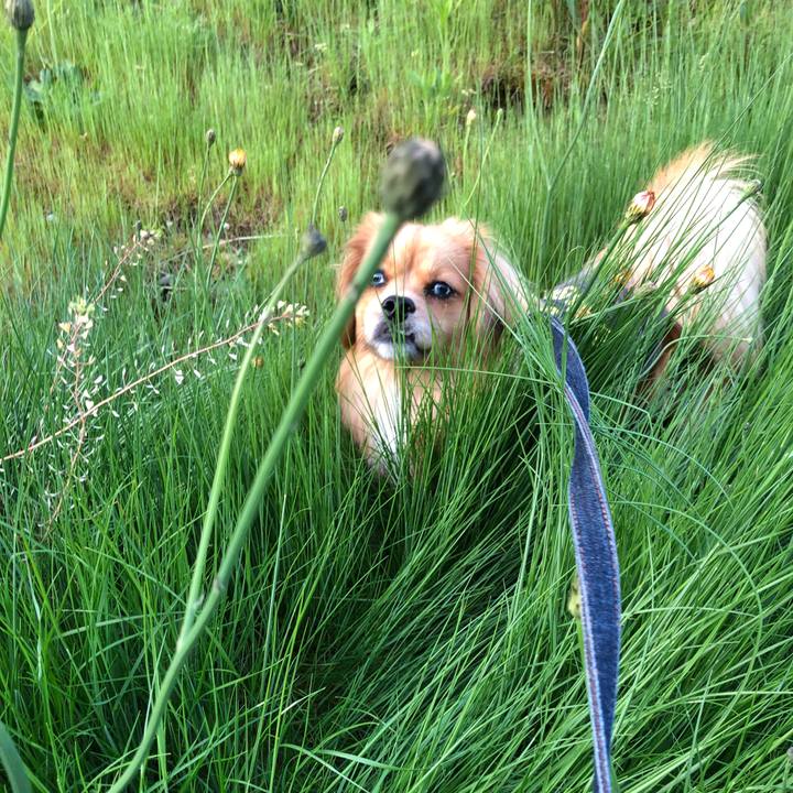 88abeba9 09fb 4176 ba9d a28782a29357 1525038109559