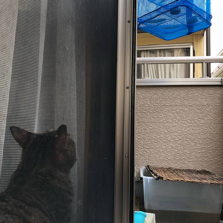 88abf608 27d5 406e a725 1ccbfd904f56 1516107779336