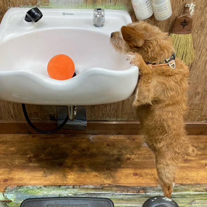 88ac7943 270f 439e a737 09bc9c76a88e 1654765548889