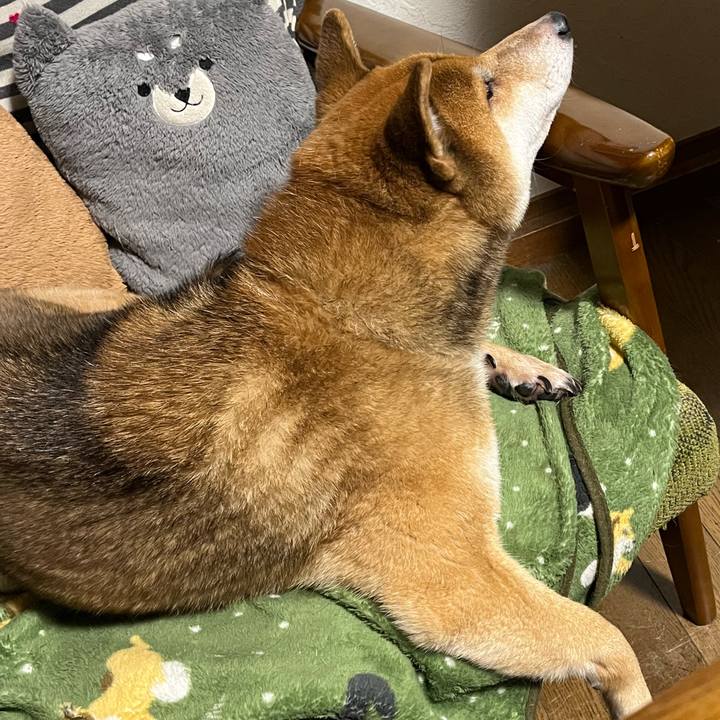 88ac7a93 0637 4650 bdbb 44e5b312165a 1639916953001