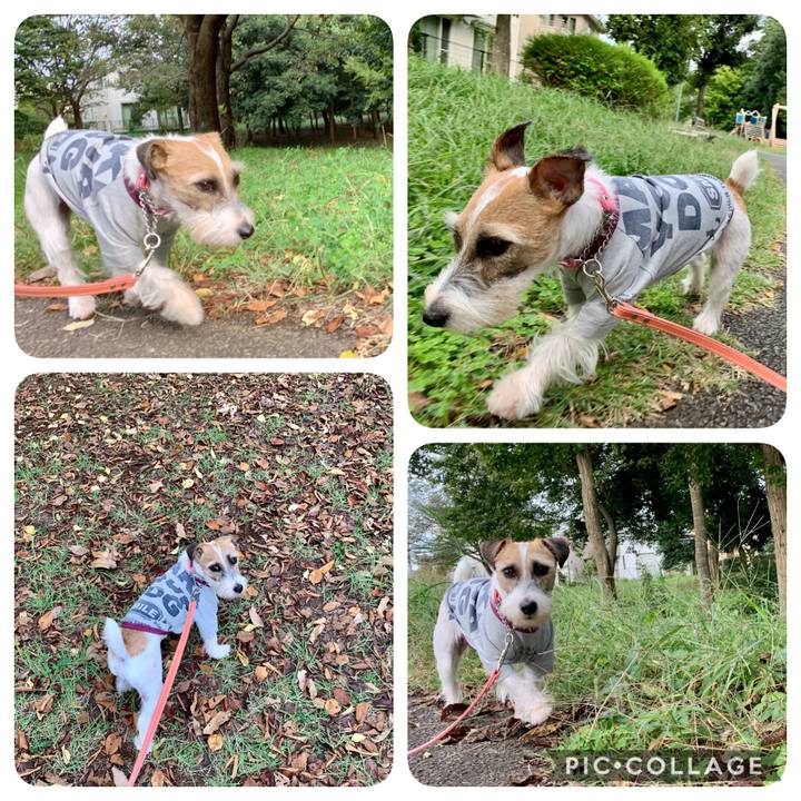 88ad1b24 e649 4ae8 9c1a 2e77574c22da 1602836961804