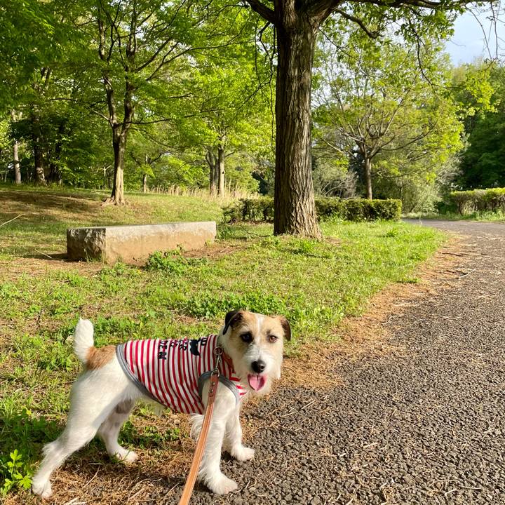 88ad365c 2ef0 41fb b553 03df0e767b4b 1681894120139