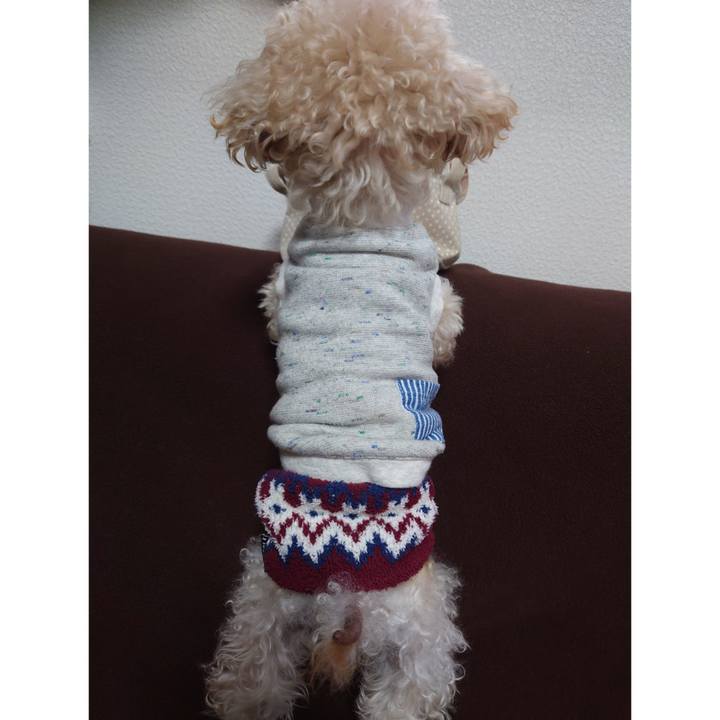 88ad38a1 7743 4fd9 9f54 c60883fc0568 1769506504978