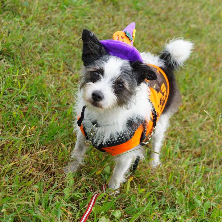 88ad4b17 38f1 45c1 a0e1 7430ec9cad61 1572473713632