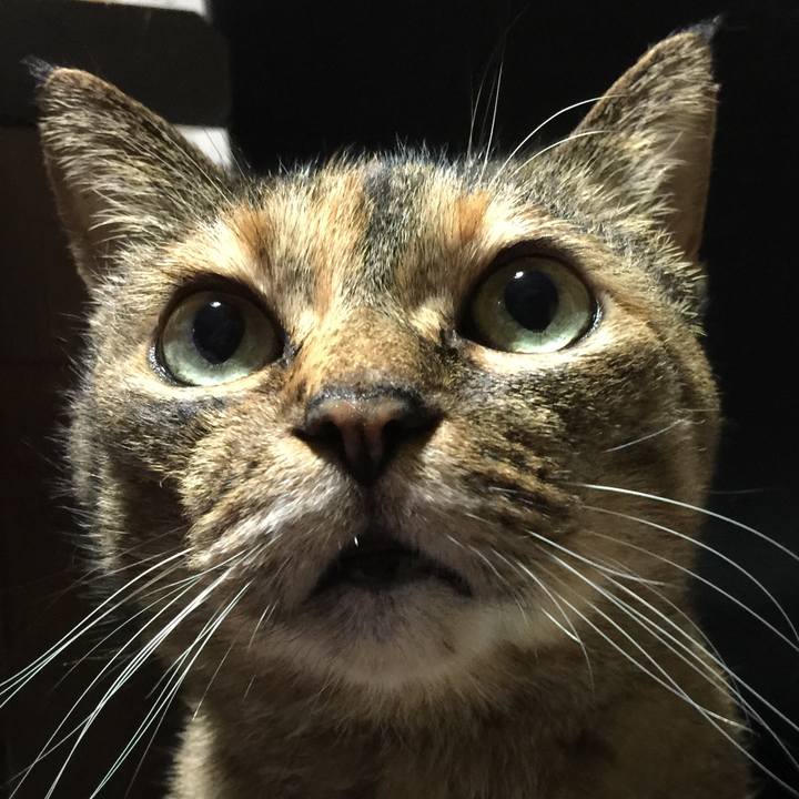 88ad7f1a 0ee5 4729 b992 68177669304a 1531393370023